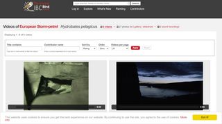 
                            8. Videos of European Storm-petrel (Hydrobates pelagicus) | the Internet ...