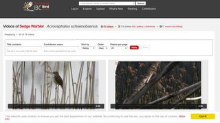 
                            12. Videos of Sedge Warbler (Acrocephalus schoenobaenus) | the ...