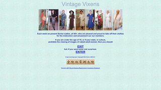 
                            2. Vintage Vixens home page