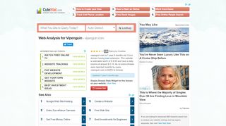 
                            1. Vipenguin Web Analysis - Vipenguin.com