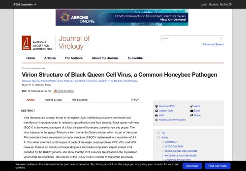 
                            8. Virion Structure of Black Queen Cell Virus, a Common Honeybee ...