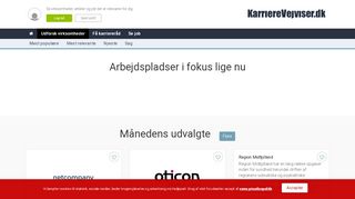 
                            13. Virksomheder i KarriereVejviseren