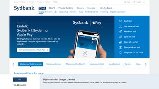 
                            12. Visa/Dankort - Sydbank: En af Danmarks største banker