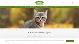 
                            3. Visceralien - innere Organe der Katze - PerNaturam Shop