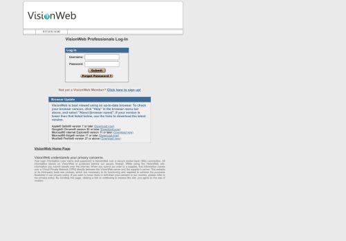 
                            4. VisionWeb - Professionals Log-In