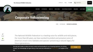 
                            11. Volunteer - National Wildlife Federation