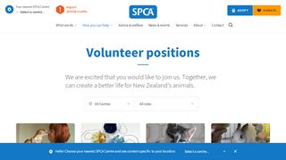 
                            12. Volunteer positions • SPCA New Zealand