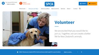 
                            11. Volunteer • SPCA New Zealand