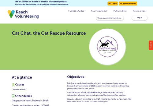 
                            8. Volunteer with Cat Chat, the Cat Rescue Resource | Reach ...