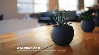
                            12. Walzone.Com – Try to learn something about everything and ...