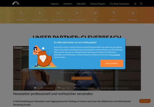 
                            8. WebStollen Partner: CleverReach - Newsletter Versand professionell