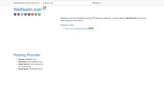 
                            8. Wellfeelin.com Error Analysis (By Tools) - Website Success Tools
