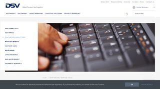 
                            6. What are DSV self service tools | DSV