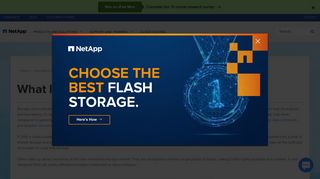 
                            4. What Is a Storage Area Network (SAN)? | SAN vs. NAS | NetApp