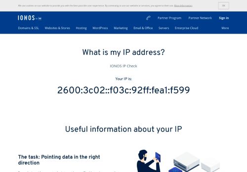 
                            8. What is my IP-Address? Free IP-Lookup and check | 1&1 IONOS