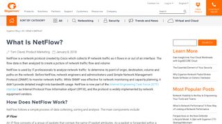 
                            9. What Is NetFlow? - Gigamon Blog