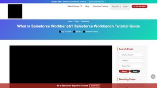 
                            12. What is Salesforce Workbench? Salesforce Workbench Tutorial Guide