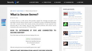 
                            6. What is Secure Server? | Security Zap