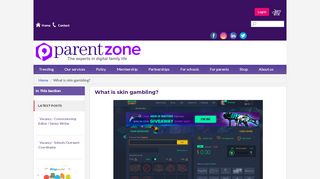 
                            12. What is skin gambling? | Parent Zone