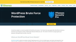 
                            10. WordPress Brute Force Protection | iThemes Security
