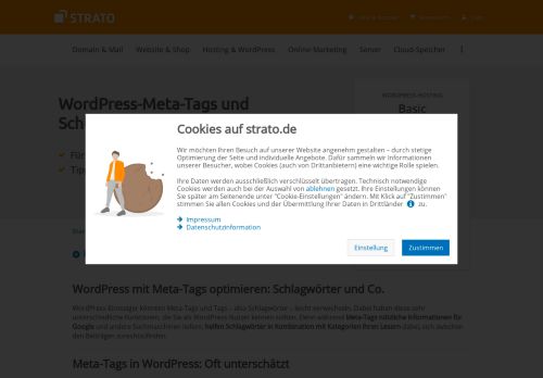 
                            6. WordPress-Meta-Tags & Schlagwörter richtig nutzen | STRATO