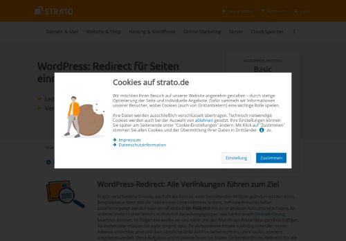 
                            11. WordPress redirect - Strato AG