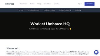 
                            11. Work at Umbraco HQ in Odense, Denmark