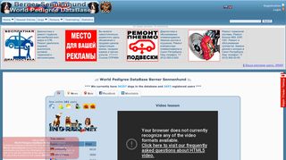 
                            4. - World Pedigree DataBase Berner Sennenhund, Berner Sennenhund ...