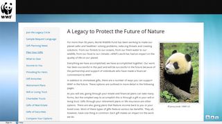 
                            11. World Wildlife Fund: A Legacy to Protect the Future of Nature