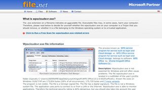
                            8. wpscloudsvr.exe Windows process - What is it? - File.net