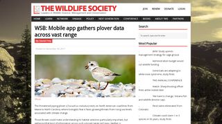 
                            9. WSB: Mobile app gathers plover data across vast range | THE ...
