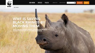 
                            12. WWF is saving black rhinos by moving them | Stories | WWF