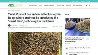 
                            11. Yadah Connect has embraced technology in its apiculture business by ...