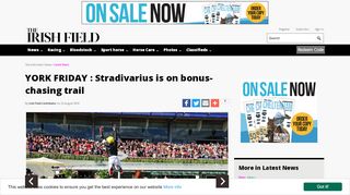 
                            11. YORK FRIDAY : Stradivarius is on bonus-chasing trail - The Irish Field