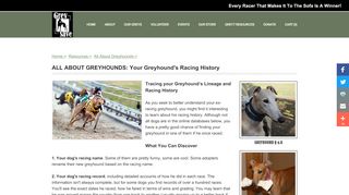 
                            12. Your Greyhound's Racing History - GreySave