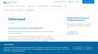 
                            2. Zählerstand ablesen - Schleswig-Holstein Netz AG