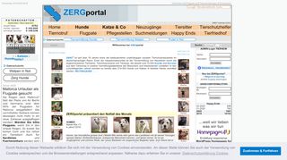 
                            8. ZERGportal - das soziale Tierschutznetzwerk | Tiervermittlung ...