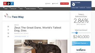 
                            12. Zeus The Great Dane, World's Tallest Dog, Dies : The Two-Way : NPR