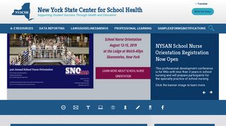 NYSIIS/NYCIR - New York State Center for School Health