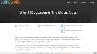 Why 24Dogs.com Is The Mutts Nuts! | Betting Gods