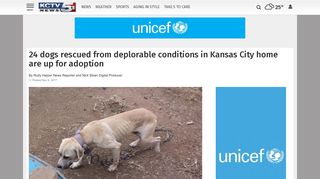 24 dogs rescued from deplorable conditions in Kansas City home are ...