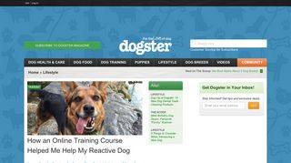 How an Online Training Course Helped Me Help My Reactive Dog