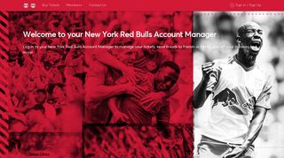 New York Red Bulls Account Manager |