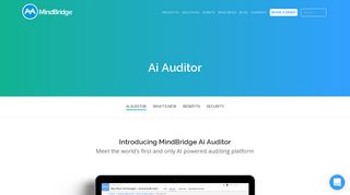 Ai Auditor | MindBridge Ai