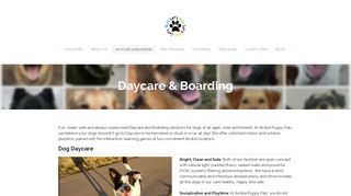 Airdrie Puppy Pals – Clean, Safe, Dog Daycare & Boarding