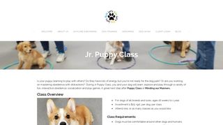 Airdrie Puppy Pals – Play, Learn, Grow with Jr Puppy Class