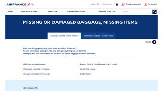 Missing baggage at the airport - Air France
