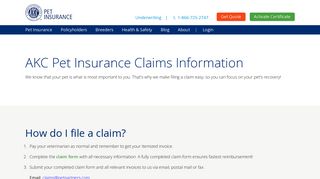 How to File a Pet Insurance Claim | AKC Pet Insurance