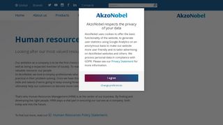 Human resources | AkzoNobel