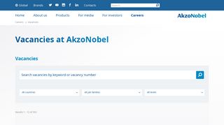 Vacancies | AkzoNobel